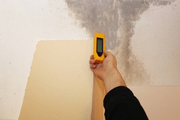 Best Industrial Mold Remediation  in Center Hill, FL