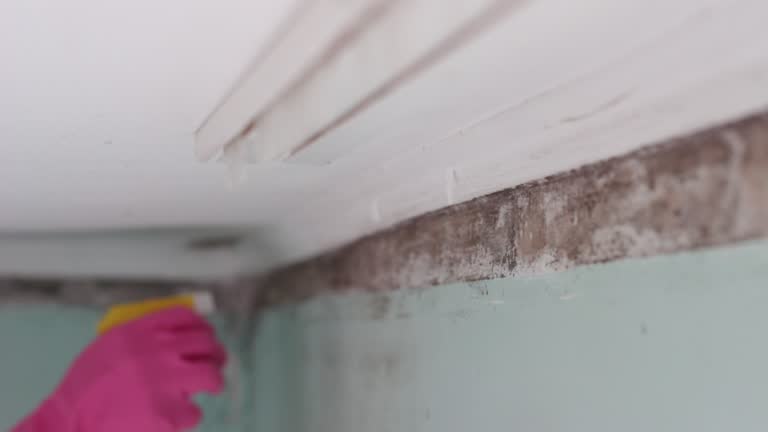 Best Air Quality Testing for Mold Spores  in Center Hill, FL