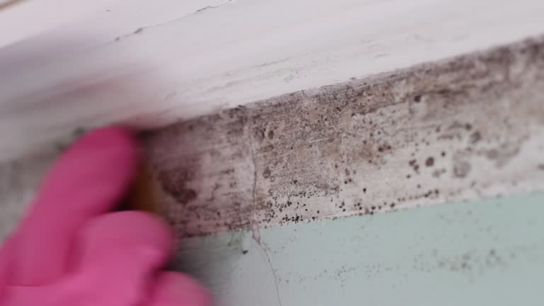 Best Post-Remediation Verification Testing  in Center Hill, FL